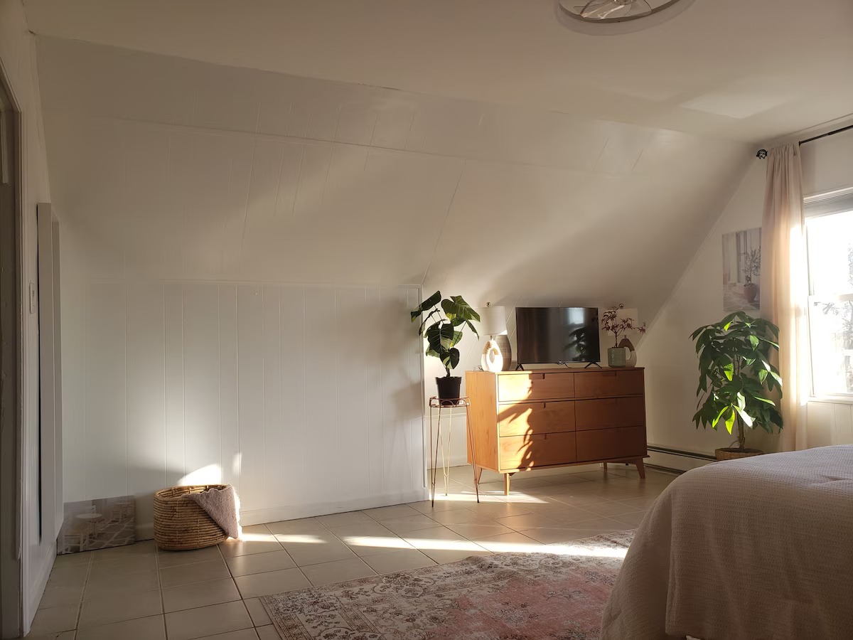 imgi_127_0919c3cf-73b9-41ab-aab6-b8c2f4271d0f