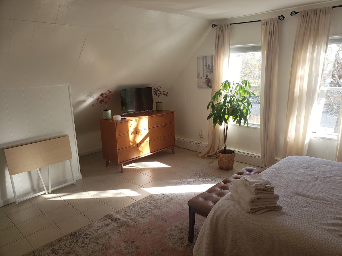 imgi_187_cfdcb286-abf2-45f5-9353-df55909739c7